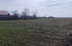 Teren intravilan de vanzare, 15500 m2, Localitatea Dascalu, Jud. Ilfov - 6