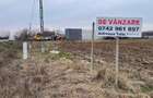 3.65 hectare teren partial intravilan Ciuperceni de vanzare, front 100 m la asfalt, ceas curent trifazic, construibil, plat - 1