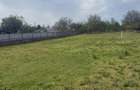 Teren intravilan 1000m2 la Sosea - 3