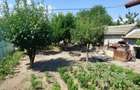 Casă cu 3 camere cu Teren 800 Mp în Cobadin - 6