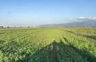 Teren agricol extravilan de 5750 mp, în Vulcan - 2
