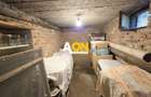 Casa 4 camere, 2 garaje, 652 mp teren, zona exclusivista, Cetate - 17