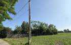 Teren Intravilan 5000m2 Titu - 3
