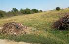 Teren de 1800 mp, în Letca Nouă - 1