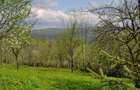 Teren intravilan de 1357 mp, în Tălii - 4