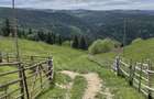 Teren de 7000 mp, în Măguri - 6
