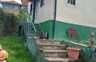 Vand casa parter cu mansarda 15 km Mioveni - 9