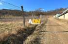 Teren Construcții intravilan de 946 mp, în Cetate - 4