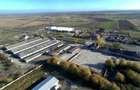 Spațiu comercial, în Remetea Mare - 4 Spațiu comercial, în Remetea Mare - 4