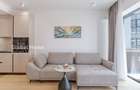 Apartament cu 2 camere semidecomandat în Floreasca - 8