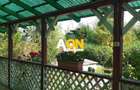 Casă cu 3 camere cu Teren 2000 Mp în Cetate - 13