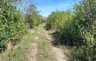 Teren intravilan Loc. Baicoi, Jud Prahova-id 17235 - 1