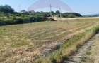 Teren Construcții de 2000 mp, în Brădești - 2