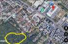 35530 m3 langa Dedeman 12 / m 2 - 1