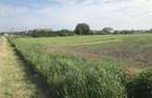 Proprietar vand teren pt construc?ii- Bucovat-Remetea Mare - 2