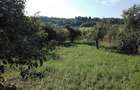 Vand proprietate in mediul rural - 6