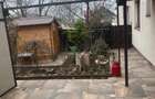 Schimb Apartament 4 camere si curte