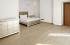 Penthouse Exclusiv Silver Mountain | 365 mp | Vedere Partie Postavarul - 17