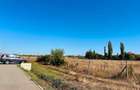 Teren Construcții intravilan de 10000 mp, în Ghiroda - 6