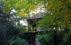 Casa de vacanta cu teren cu vita de vie - 3