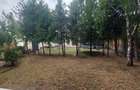 Casă individuală cu 6 camere cu Canalizare în Pipera - 6