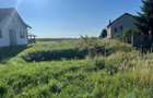 Teren de 7700 mp, în Cotu Băii - 3