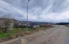 Teren Construcții de 1000 mp, în Săldăbagiu de Munte - 3