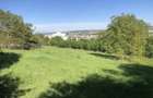 Vand teren intravilan - 5