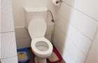Casă individuală cu 2 camere cu Teren 90 Mp în Gara Mare - 10