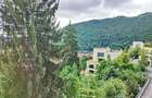 Apartament cu 3 camere semidecomandat în Drumul Poienii - 17