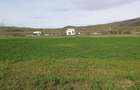 Teren intravilan de 900 mp, în Luna - 2