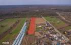 Nuci - Balta Neagra, Lot 3900 Mp, La Padure! - 5