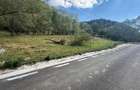 Vand teren com Ramet, jud Alba - 1