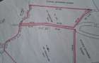Vand teren pe platoul Bucegi - 2