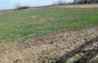 Teren intravilan 5000mp-toate utilitatile-zona mixta (constructii + livada) - 3
