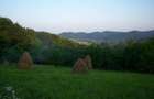 Teren extravilan de 80000 mp, în Valea Iașului - 1