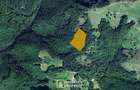 De vânzare teren extravilan  8,2037 ha pădure și pășune Borod, Bihor - 1