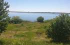 Particular, vand teren cu deschidere la lacul Cernica, langa padure - 3
