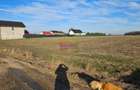 Cornetu  Strada Stejarului - 4