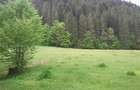 Teren intravilan 5000mp construibil Maieru?, Brate?, Valea Tarcaului - 3