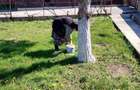 Vand casa,(PROPIETAR) Contesti,jud Dambovita, P+M,cu teren 500 mp - 10