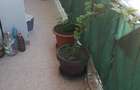 Vand apartament cu 2 camere in Nojorid - 2