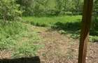 Vand cabana de lemn la Dezna, statiunea Moneasa, in Jud. Arad - 2