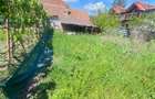 Apartament cu 2 camere decomandat în Bogdăneștilor - 20