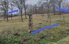 Teren intravilan de vanzare 800 m , Livezi (General Berthelot) - 2