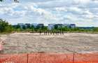 Teren 5000 mp Baneasa | P+4 | Langa Padure | Investi?ie - 9