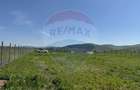 Teren Construcții intravilan de 1400 mp, în Livada (Iclod) - 9