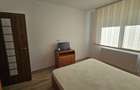 Apartament decomandat 55 mp de inchiriat, Cetate - 6