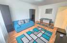 Apartament cu 2 camere semidecomandat în Florilor - 15