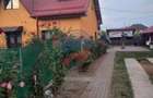 Casa in localitatea Zanoaga- Dolj - 11